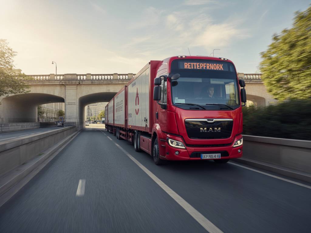 **Classement des transporteurs routiers en france : performance, secteurs d’activité et profils des entreprises leaders**